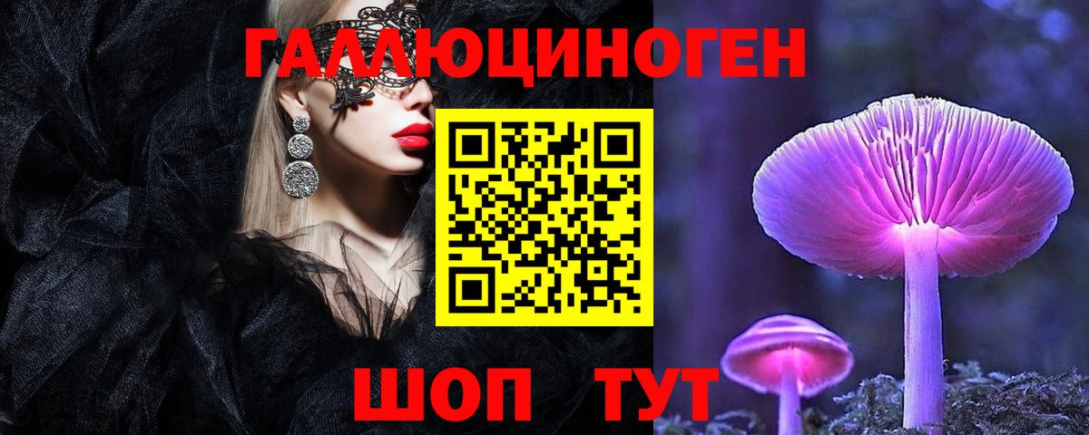Вятские Поляны  Галлюциногенные грибы Psilocybe  Вход с VPN 