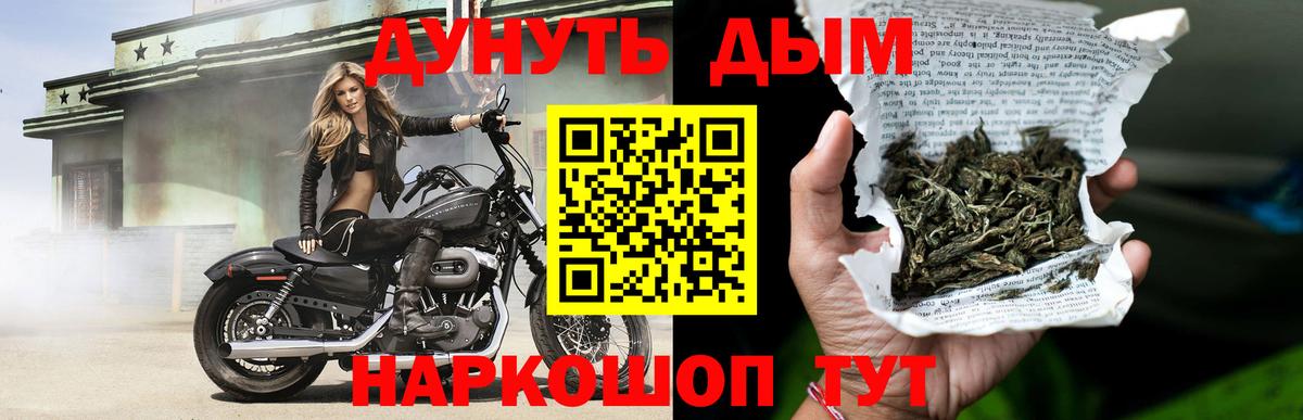 Канабис сатива Вятские Поляны
